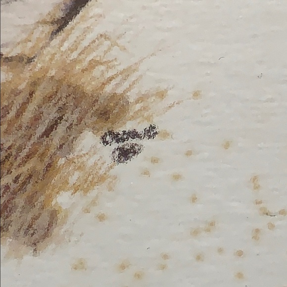 Double framed hunting art yellow Black Labrador - Picture 8 of 12